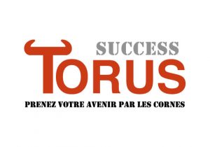 Logo de la startup Success Torus