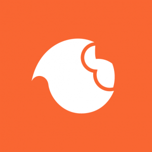 Logo de la startup Braineet