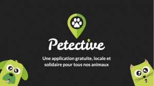 Logo de la startup Petective