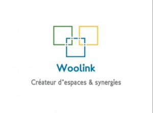 Logo de la startup Woolink