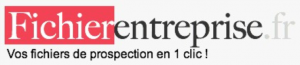 Logo de la startup FICHIER ENTREPRISE
