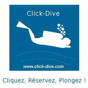 Logo de la startup Click-Dive