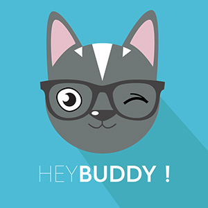 Logo de la startup Hey Buddy