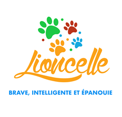 Illustration du crowdfunding Lioncelle