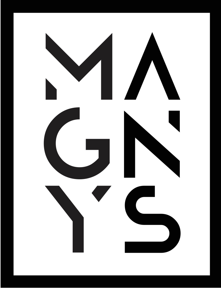 Logo de la startup MAGNYS