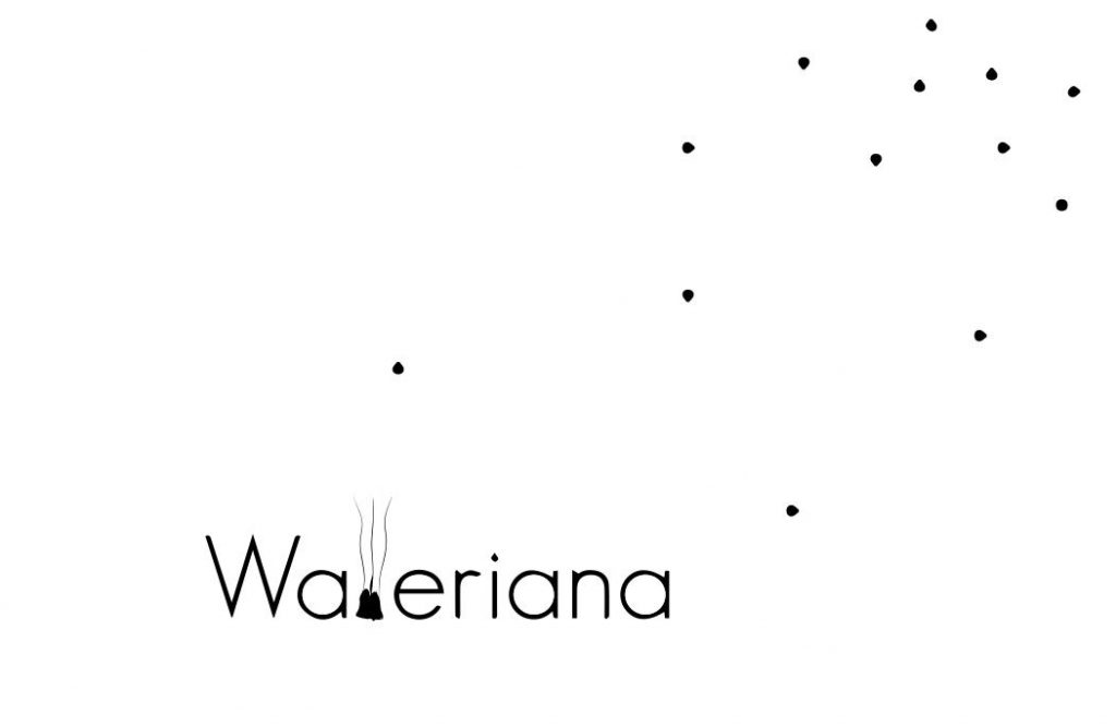 Logo de la startup Walleriana