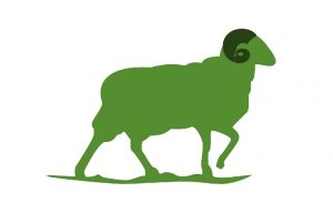 Logo de la startup Greensheep