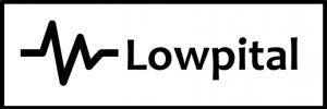Logo de la startup Lowpital