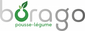 Logo de la startup Borago