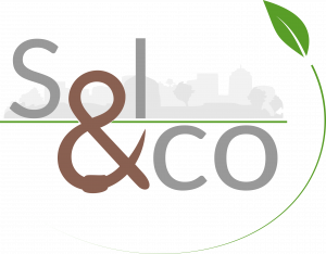 Logo de la startup Sol &co