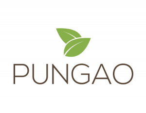 Logo de la startup Pungao
