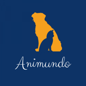 Logo de la startup Animundo