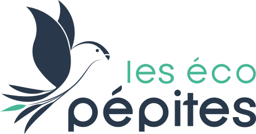 Illustration du crowdfunding Les Eco Pépites
