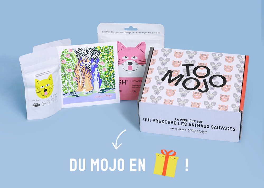 Logo de la startup Tomojo les coffrets de Noël pour chat & chien