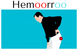 Logo de la startup Hemoorroo