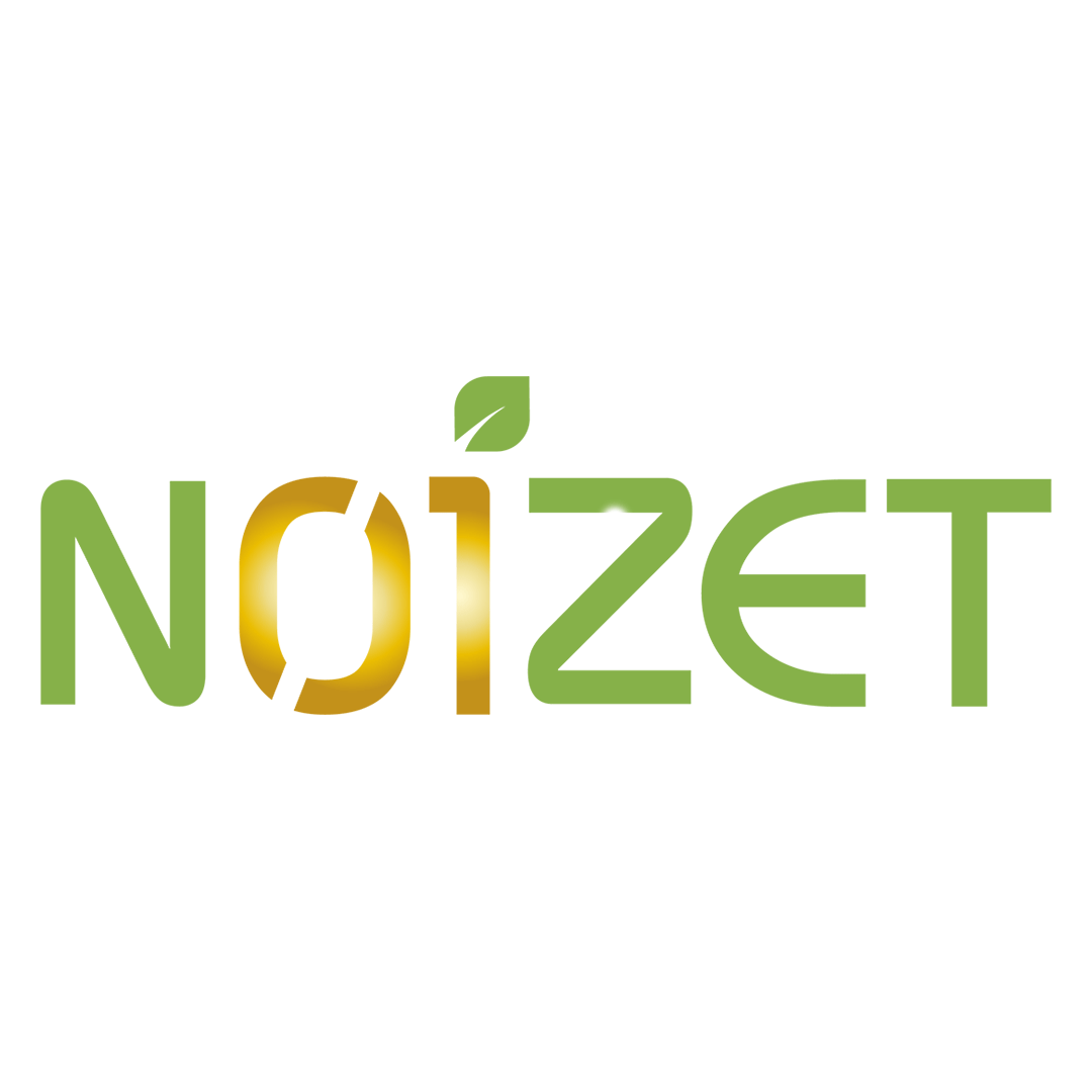 Illustration de la news N01ZET annonce le lancement de sa plateforme blockchain RH