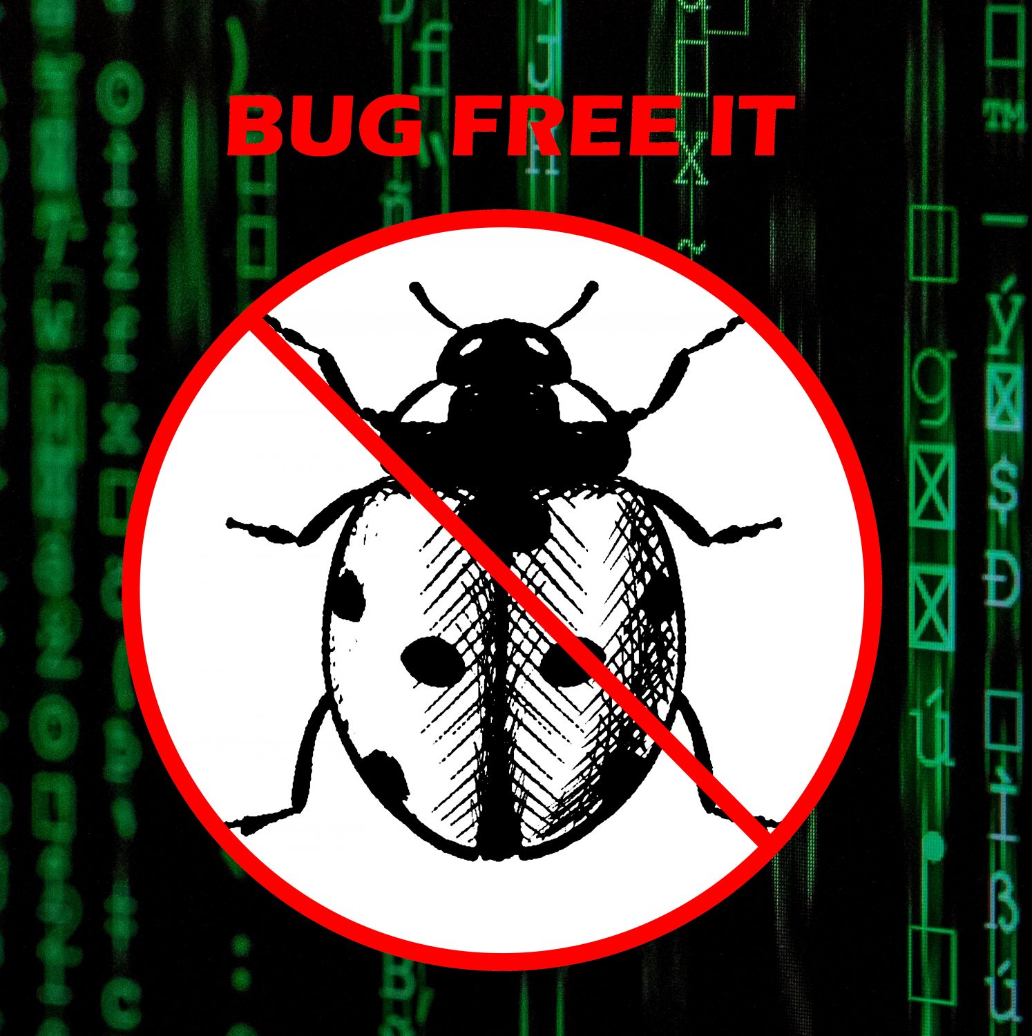 Illustration de l'annonce cofondateur Bug Free IT