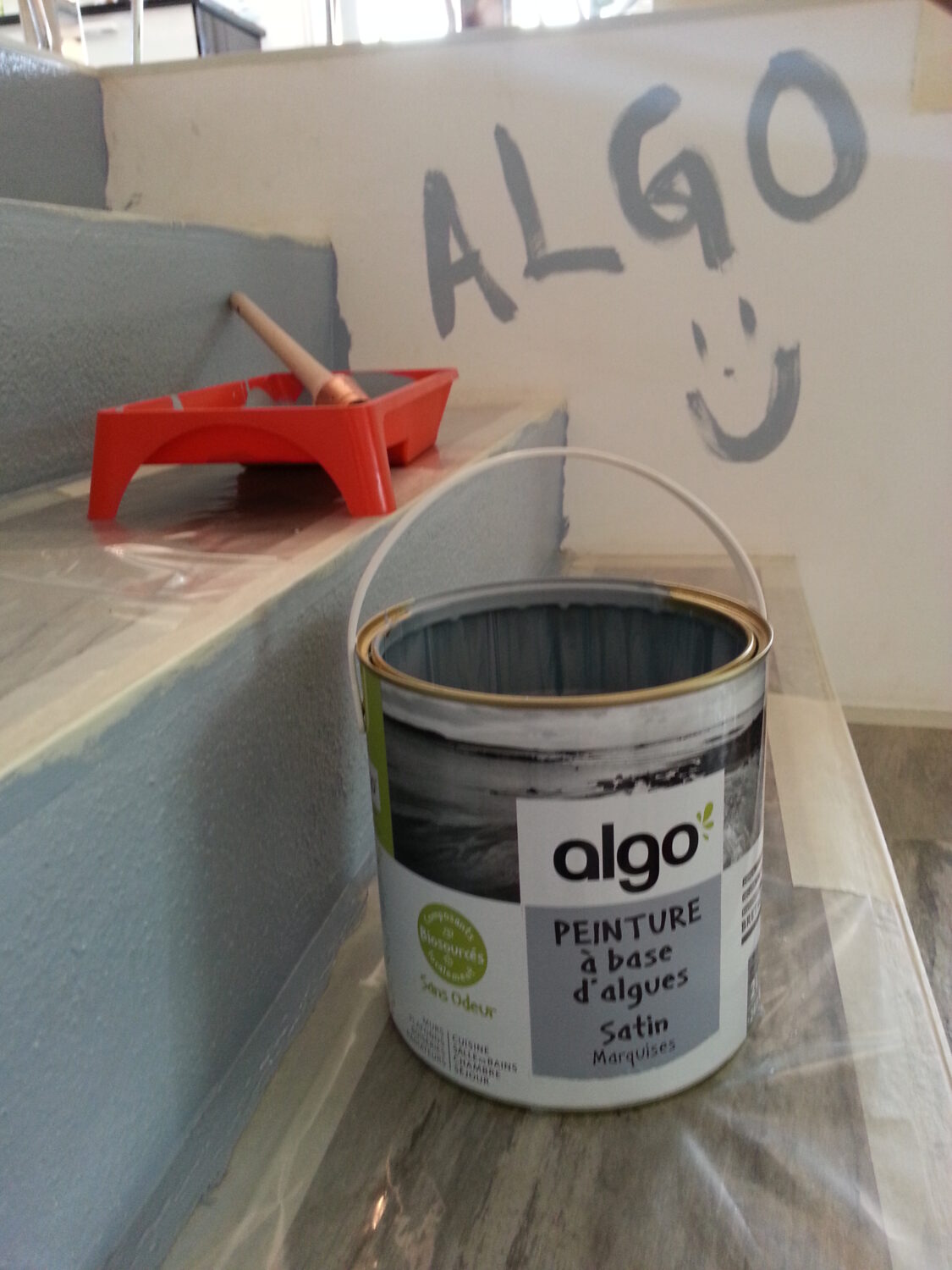 Illustration du crowdfunding Algo Paint fabricant de peinture écologique à base d'algues