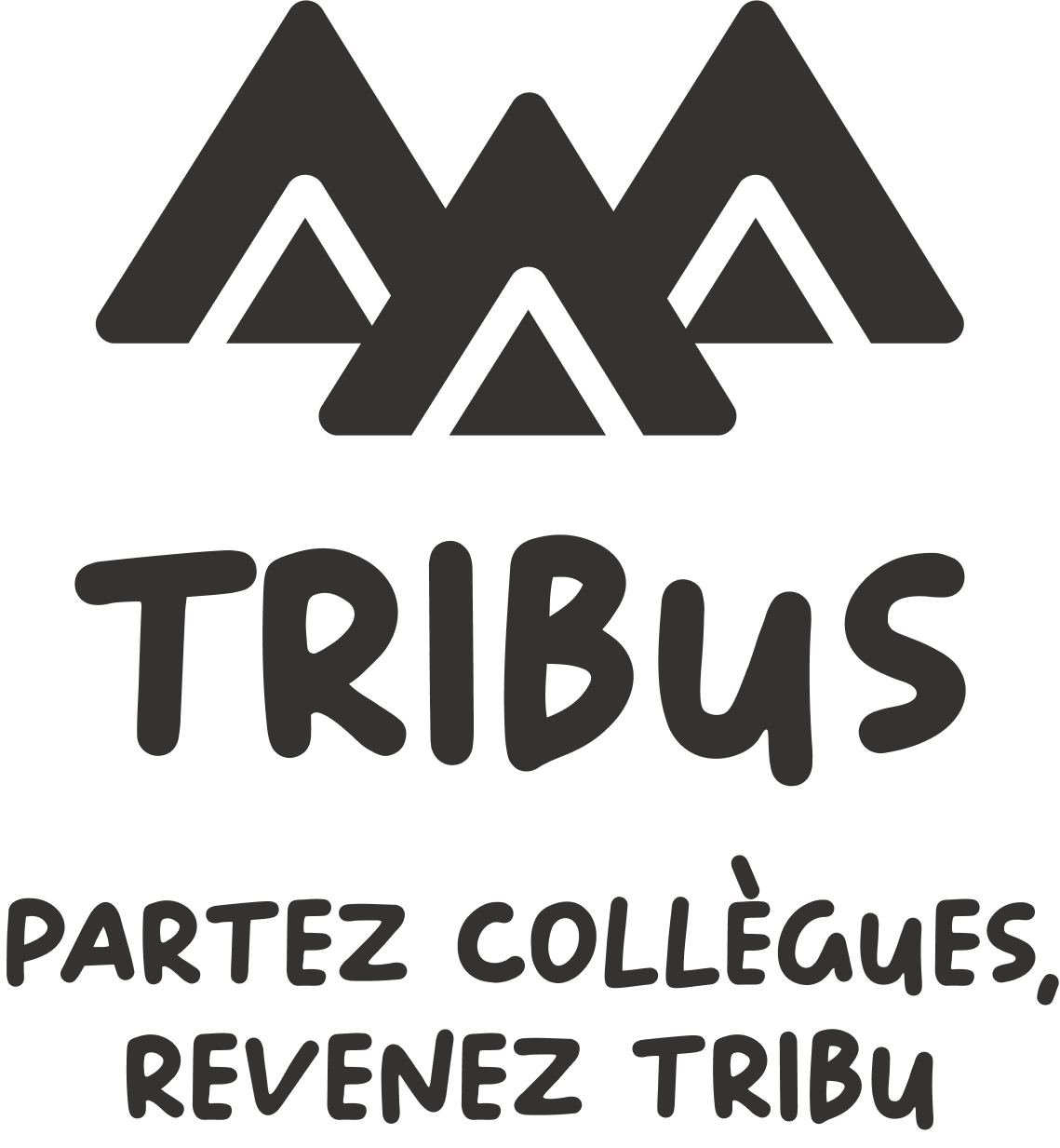 Illustration de la news Tribus l'organisateur de vos séminaires entreprises